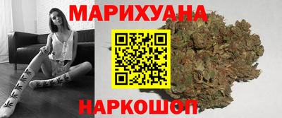 spice Гусев