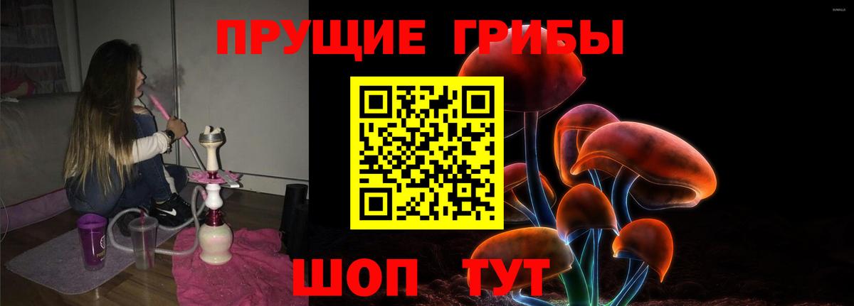 Галлюциногенные грибы GOLDEN TEACHER Заринск